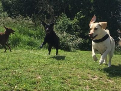 Koffie en hardlopen een ‘match made in&nbsp;heaven’?