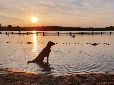 Tips om stress te&nbsp;verminderen