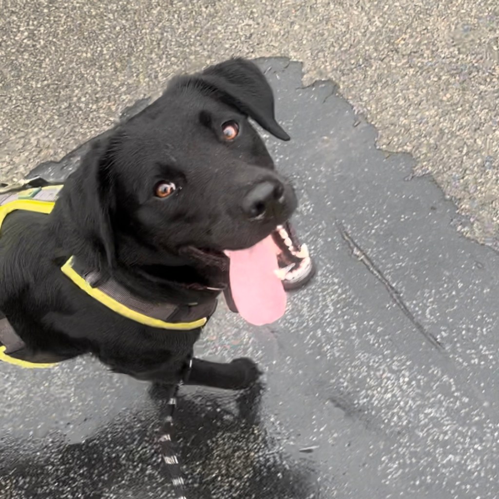 Training 2.2 –&nbsp;2.5